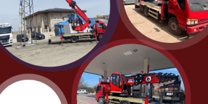 Tonajlı Kiralık Vinç (4)