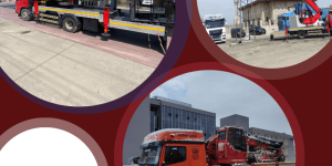 Tonajlı Kiralık Vinç (5)