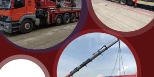 Ankara Çayyolu Tonajlı Kiralık Vinç