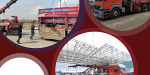 Tonajlı Kiralık Vinç (7)